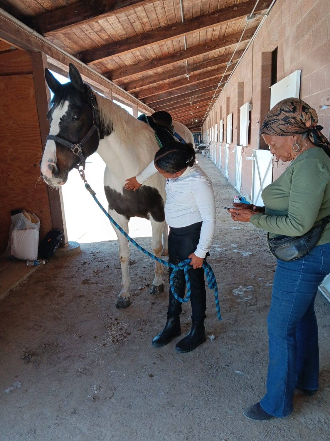 Ms.-Patricia-Nola-the-horse-NaZuri, Introducing Ms. Patricia Jackson, equestrian and teacher!, Featured Local News & Views 